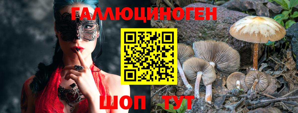 Луховицы  Галлюциногенные грибы Cubensis  Вход с VPN 